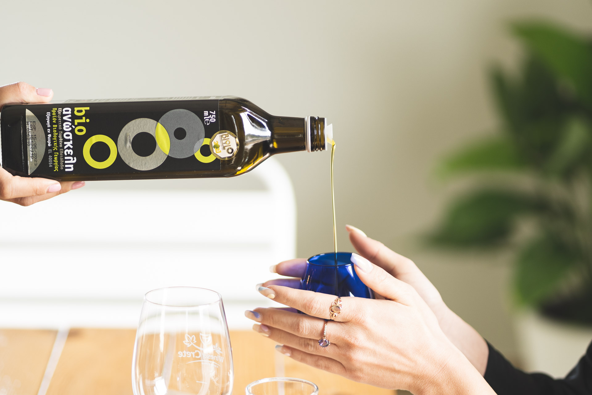 The Olive Oil<br>Connoisseur