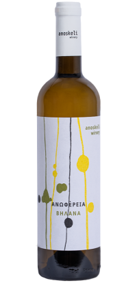 ANOFERIA Vilana (2024) 