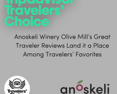 Travelers Choice Award 2022